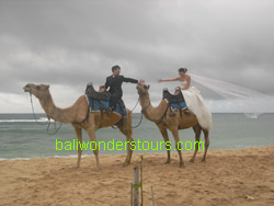 bali camel tour
