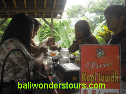 bali coffee luwak coffee