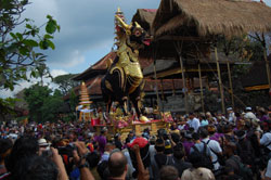 bali cremation