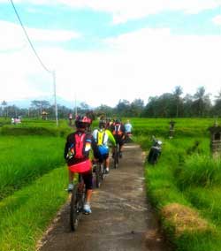 bali bike tour