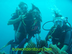 bali diving