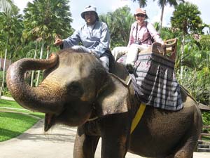 bali elelphant camp
