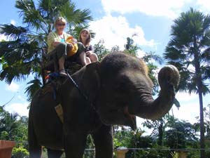 bali elephant ride