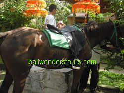 bali horse ride