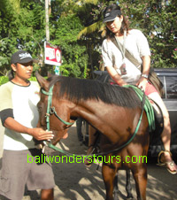 bali horse riding