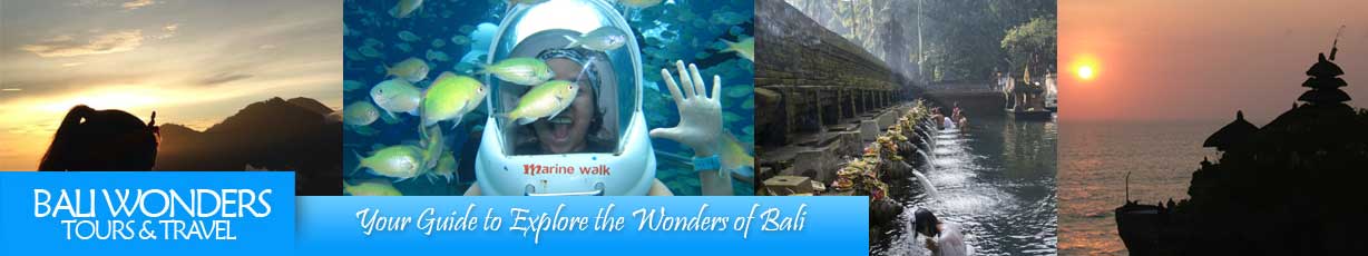 bali holiday tour guide and leisure