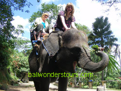 bali elephant ride