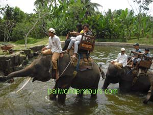 elelphant ride bali