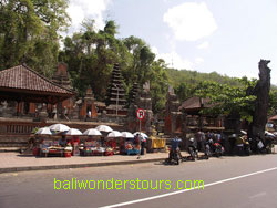 goa lawah bali bats cave
