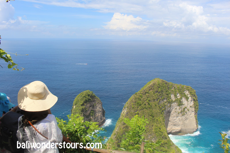 kelingking beach at nusa penida island bali