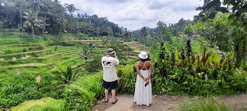 bali rice terrace tegallalang