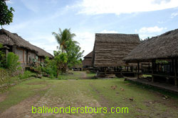 tenganan traditional village bali